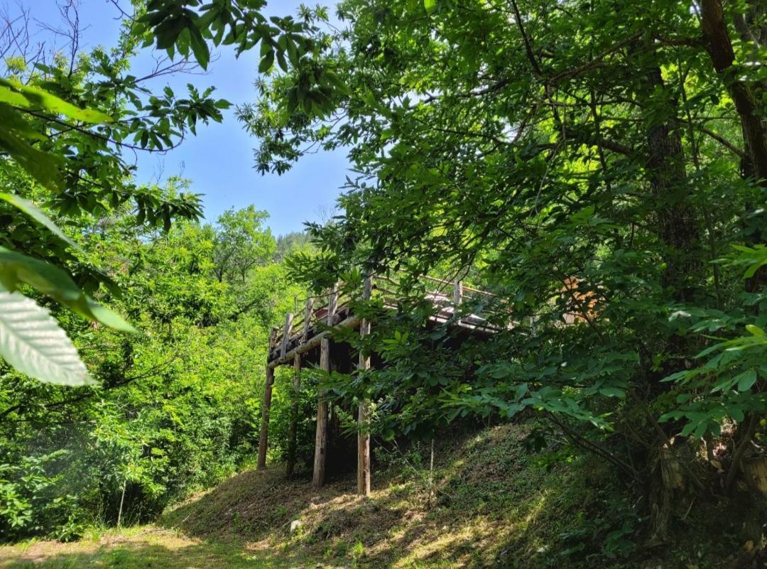 Loz'Aire Naturelle Quezac  Luaran gambar